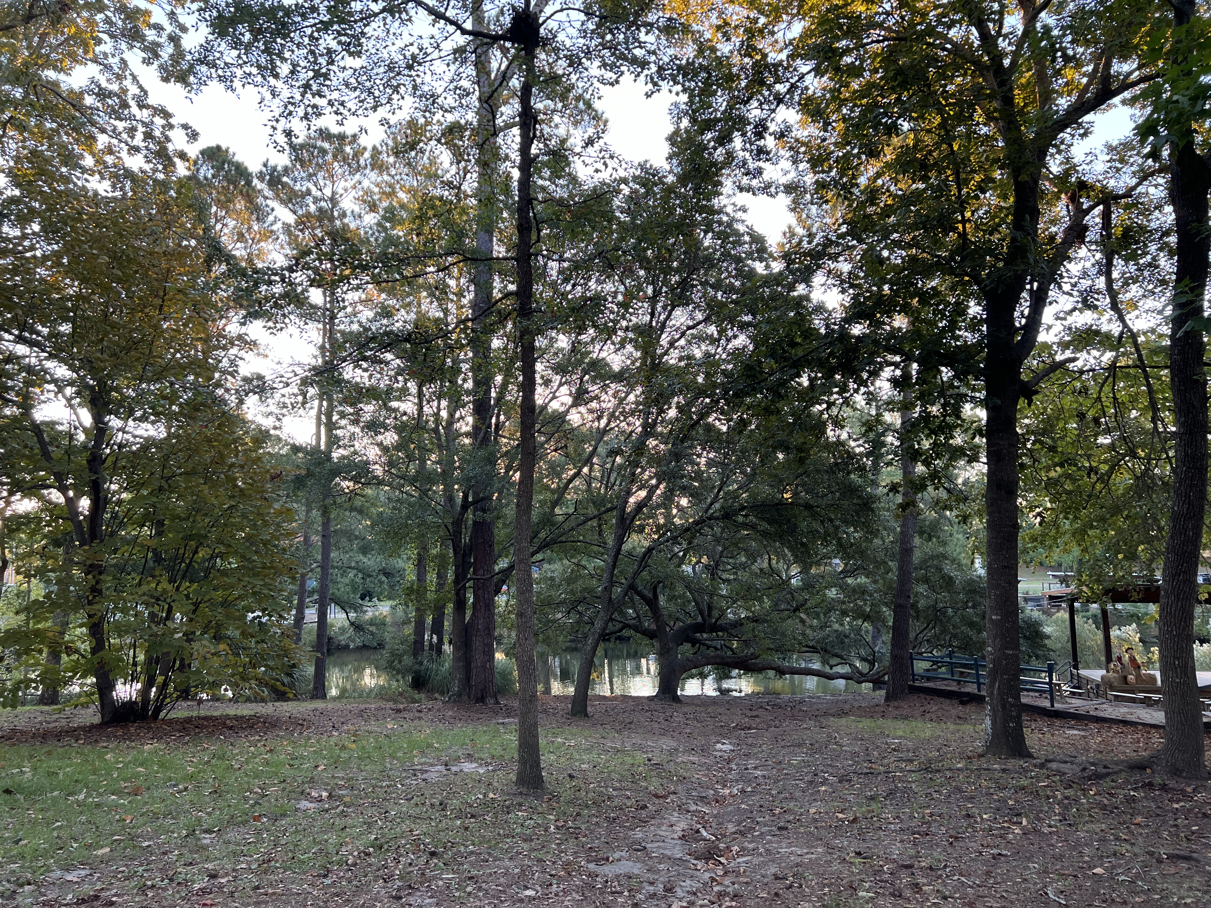 ./2024/10 - Myrtle Beach/IMG_3199.jpg